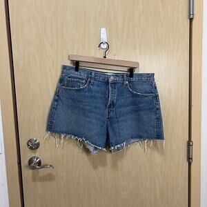 Agolde Parker long shorts